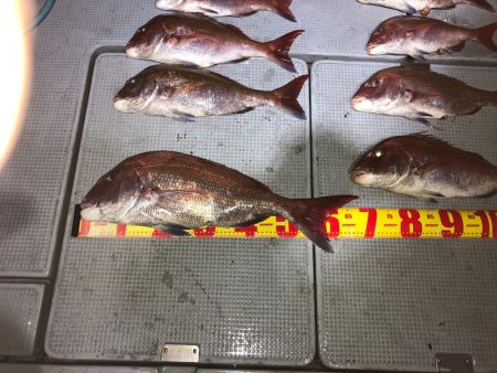 遊漁船高橋 釣果