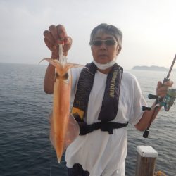 きずなまりん 釣果