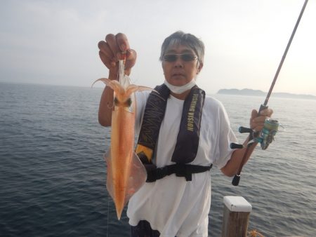 きずなまりん 釣果