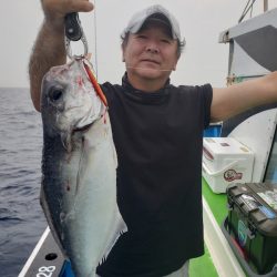 丸万釣船 釣果