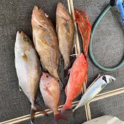 Monster Rush! 釣果