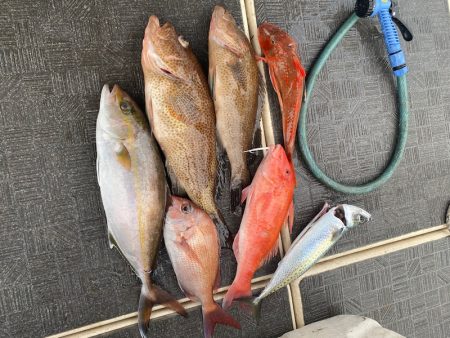 Monster Rush! 釣果