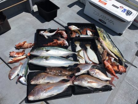 渡船屋たにぐち 釣果