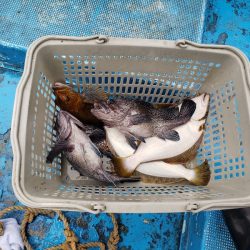 さち丸 釣果