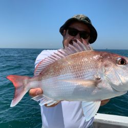 ランスルー 釣果