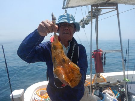 きずなまりん 釣果