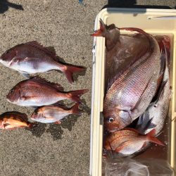 第二八坂丸 釣果