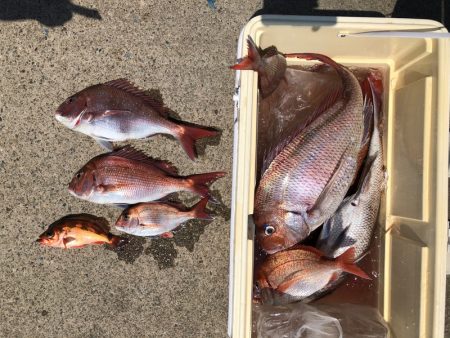 第二八坂丸 釣果