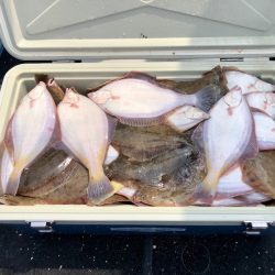 第二　つれたか丸 釣果