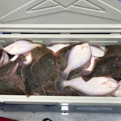 第二　つれたか丸 釣果