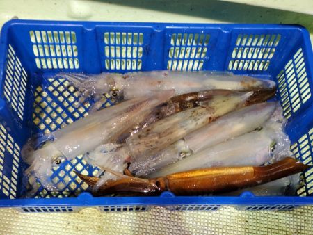 海龍丸（石川） 釣果