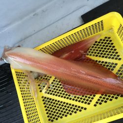 第二龍勢丸 釣果