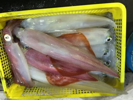 第二龍勢丸 釣果