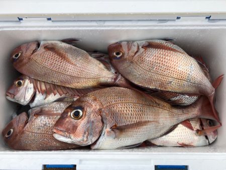 第二八坂丸 釣果