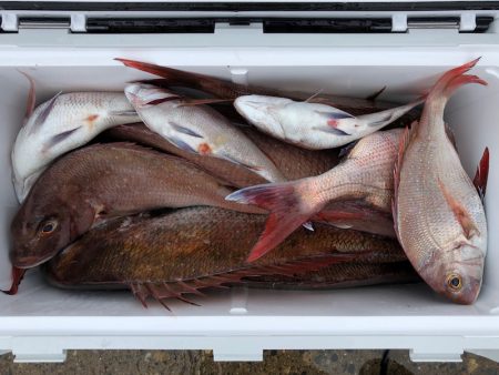 第二八坂丸 釣果