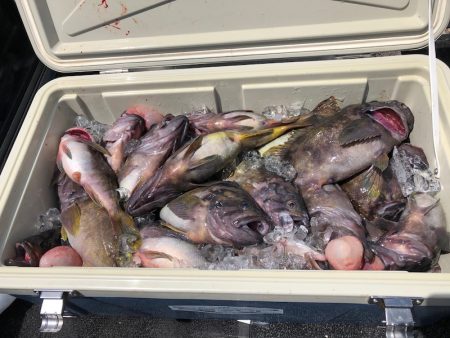 第二 つれたか丸 釣果