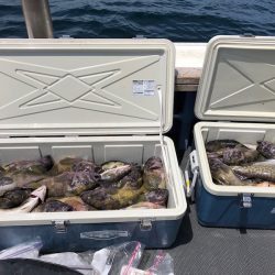 第二 つれたか丸 釣果