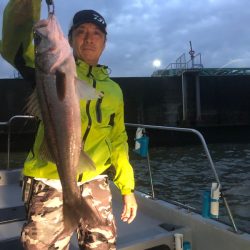 Chase(チェイス) 釣果