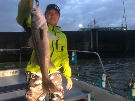 Chase（チェイス） 釣果