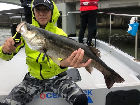 Chase(チェイス) 釣果