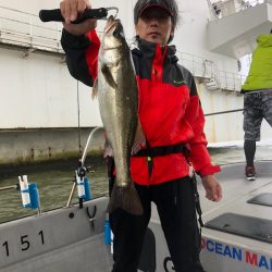 Chase(チェイス) 釣果