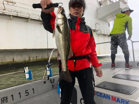 Chase(チェイス) 釣果