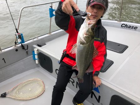 Chase(チェイス) 釣果