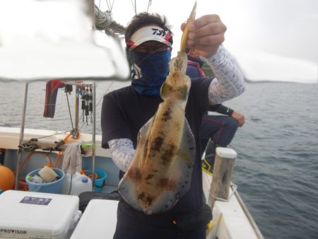 きずなまりん 釣果