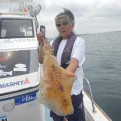 きずなまりん 釣果