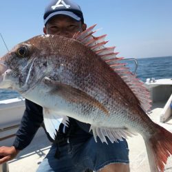 ランスルー 釣果