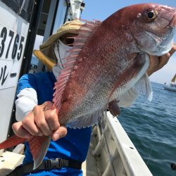 ランスルー 釣果