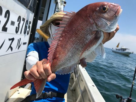ランスルー 釣果