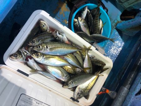 ヤザワ渡船 釣果