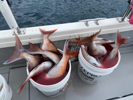 遊漁船ブルーウッズ 釣果