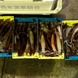 第二八坂丸 釣果