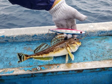 さち丸 釣果