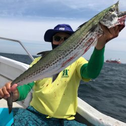 ランスルー 釣果