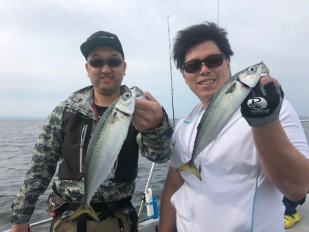 Chase(チェイス) 釣果