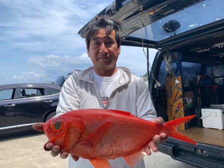 晃山丸 釣果