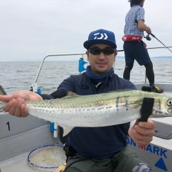 Chase(チェイス) 釣果