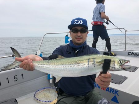 Chase(チェイス) 釣果