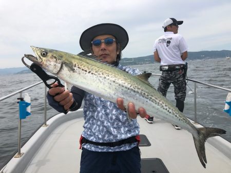 Chase(チェイス) 釣果