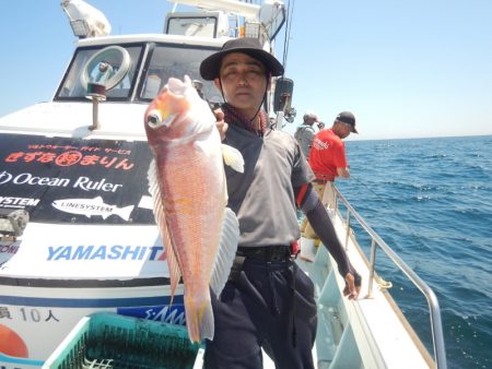 きずなまりん 釣果