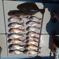 きずなまりん 釣果