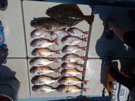 きずなまりん 釣果