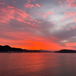 末広丸(熊本) 釣果