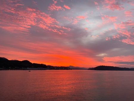 末広丸(熊本) 釣果