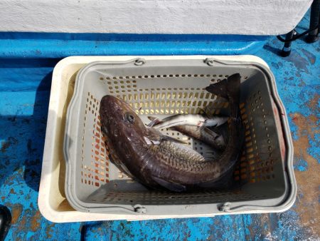 さち丸 釣果