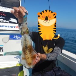 きずなまりん 釣果