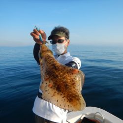 きずなまりん 釣果